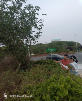 6.12田晶晶聚焦绿化工程 助力生态建设18.png 6.12田晶晶聚焦绿化工程 助力生态建设18.png